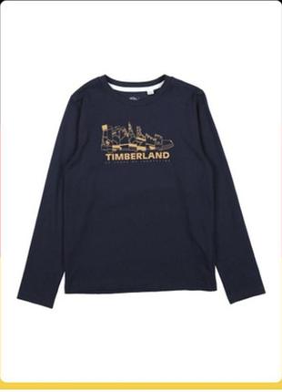 Реглан лонгслів батал на довгий рукав timberland р,58-60