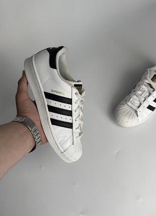 Кросівки adidas superstar