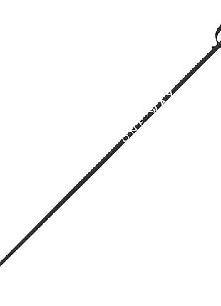 Гірськолижні палиці fischer one way gtx 14 asphalt - complete kit '26