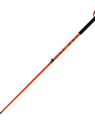 Гірськолижні палиці fischer one way fr carbon vario pro '25