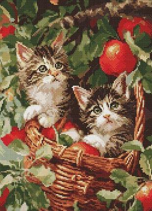 Алмазна мозаїка "коти у кошику" 40х50 см