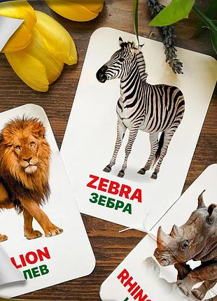 Карточки домана ‘‘животные африки’’ – развивающие карточки для детей, на английско-украинском языке, в наборе 16 карточек