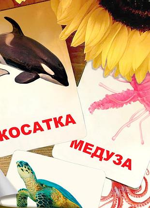 Карточки домана ‘‘морские жители’’ на украинском языке, 24 шт