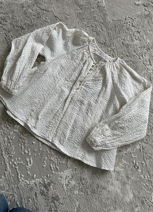 Блузка zara 7 років 122 см
