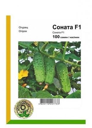 Огірок соната f1 100 насінин агропакгруп