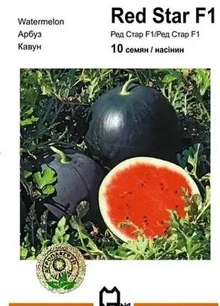 Кавун ред стар f1 10 насінин агропакгруп