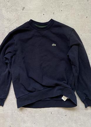 Чоловічий світшот  lacoste 2