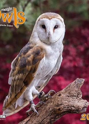 Настінний календар 2026 рік. magic owls