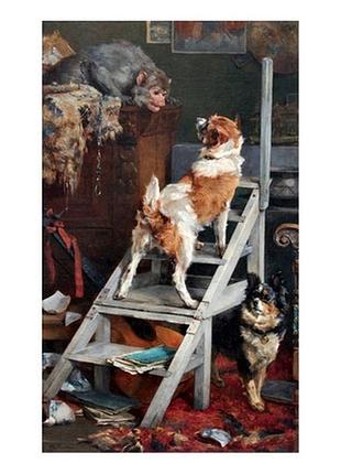 Листівка dog teasing monkey i