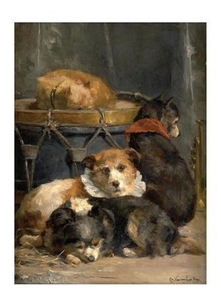 Открытка rest for the dogs of the artist