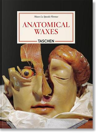 Anatomical waxes. 45th ed.