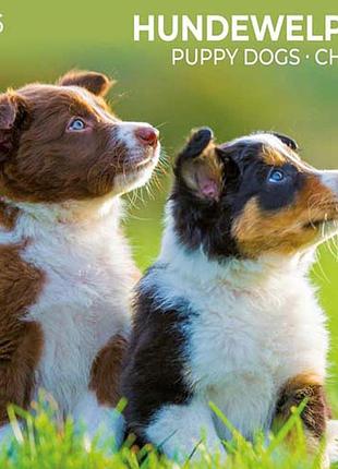 Настінний календар 2026 рік. puppy dogs