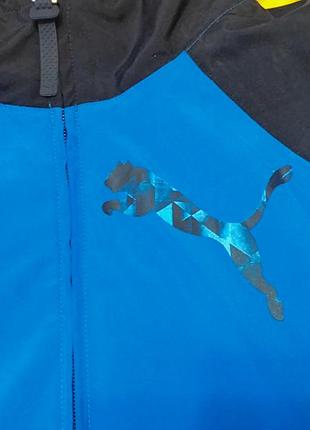 [s] мужская олимпийка puma