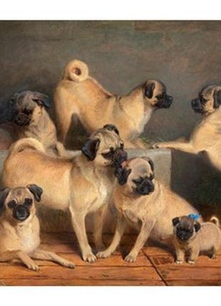 Открытка a family of pugs