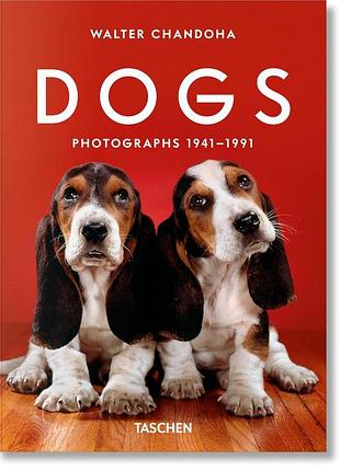 Walter chandoha. dogs. photographs 1941–1991