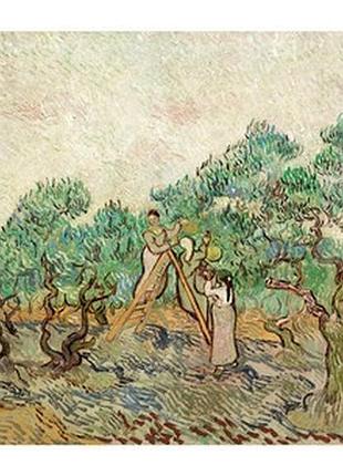 Листівка vincent van gogh — the olive orchard