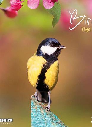 Настінний календар 2026 рік. birds