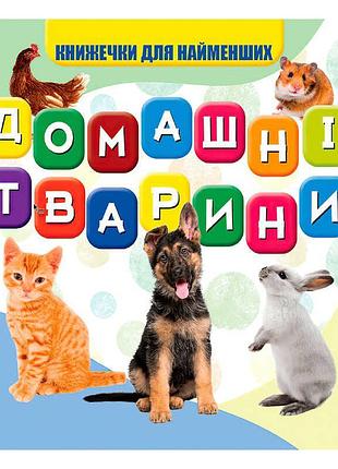 Гр моя первая книжечка «домашние любимцы» (20) 9789669754509 «jumbi»