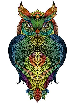 Деревянные цветные пазлы сова owl rainbowooden eureka