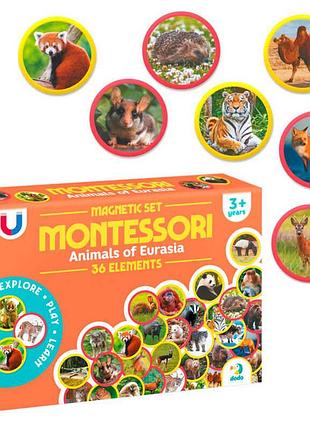 Игры dodo «животные континента евразия» 200285, 36 деталей, в коробке