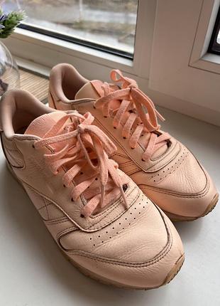 Кросівки reebok