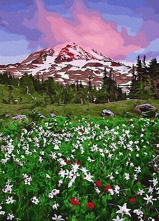 Картина рисование по номерам пейзаж цветущая долина 40х50см rainbow art gx29236