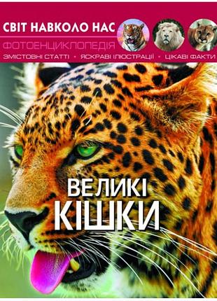 Детские познавательные энциклопедии мир вокруг нас большие кошки фотоэнциклопедия книги для детей