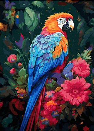Картина забарвлення за номерами кольоровий папуга 40х50см rainbow art gx47416 акриловий живопис по цифрам птахи