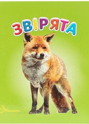 Книжки для самых маленьких карамелька зверята детские картонные книжки талант 10х10 см на украинском