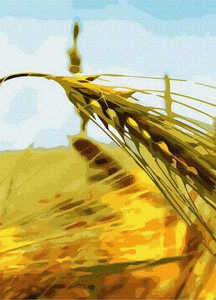 Картина рисование по номерам пейзаж ржаной колос 40х50 brushme gx6633
