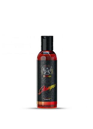 Концентрированный шампунь для ручной мойки с ароматом апельсиновой газировки - shampoo orangeade, 150