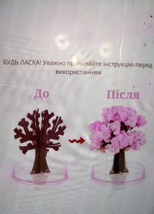Игрушка эксперимент растущая   грушка для детей магическое дерево. сакару 7