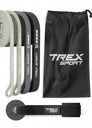 Набір резинок для фітнесу trex sport tx-004pb 4в1 2-41кг