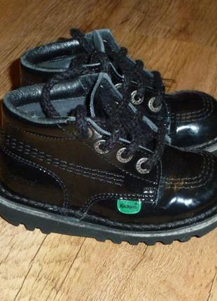 Натуральные кожаные лаковые ботинки kickers, р 251 фото