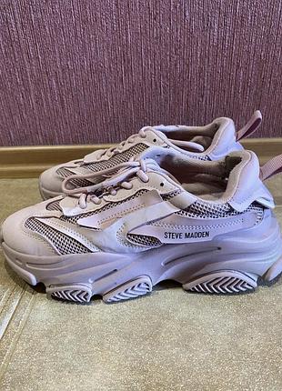 Кросівки steve madden