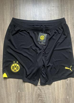 Спортивні шорти.   puma dortmund.   xl розмір.  нові.