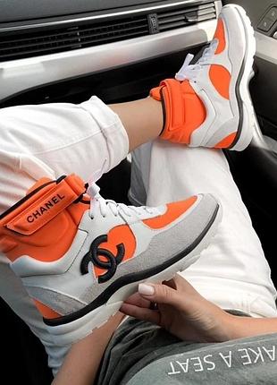 Hight orange premium