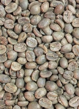 Арабіка перу (arabica peru) 1кг. зелена