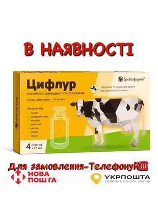 Цифлур 4 пипетки х 10 мл (цена за пипетку)