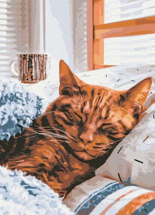 Ранковий котик