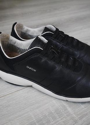 Кроссовки geox nebula (39 р)