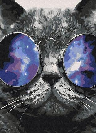 Котик на маямі