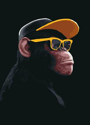 Картина за номерами riviera blanca monkey №2 40x50 см (rb-1159)