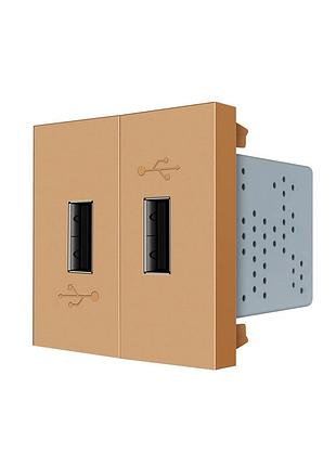Двойная розетка usb 2×usb-a 5v 2.1a золото из поликарбоната для зарядки устройств livolo