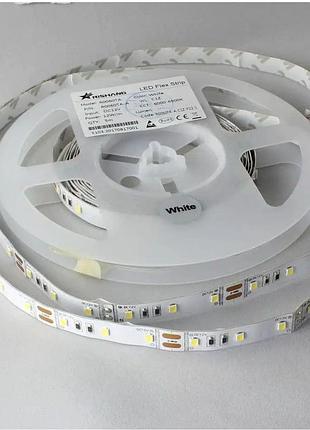 Светодиодная лента 12вт 5000мм 12в 6000к ip33 smd 2835 для интерьерного освещения rn0060ta-a