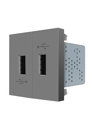 Двойная розетка usb 2×usb-a 5v 2.1a с блоком питания серая для зарядки устройств livolo