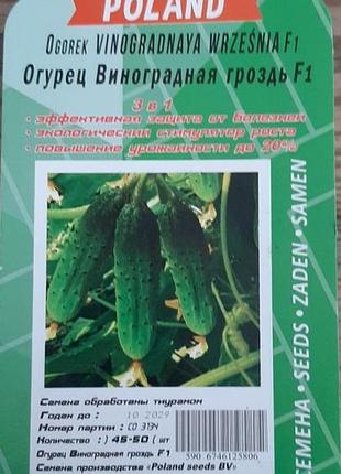 Огурец виноградная гроздь f1 ( драж ) 40 семян