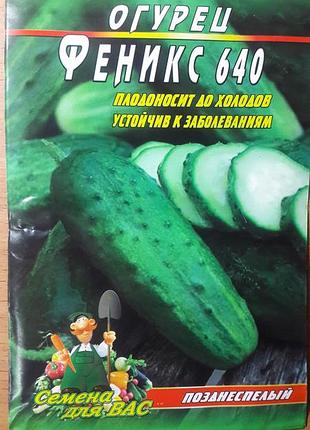 Огірок фенікс 640 пакет 30 насіння. пізньостиглий сорт.