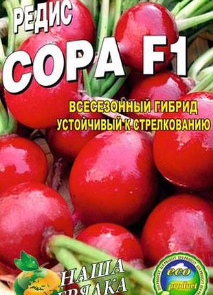 Редис сора пакет 800 семян. скороспелый сорт.