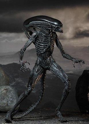 Чужой (alien-protomorph) 2 варианта 7